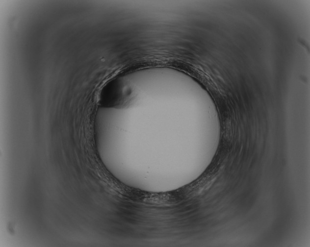 X0000093591201200710151010
