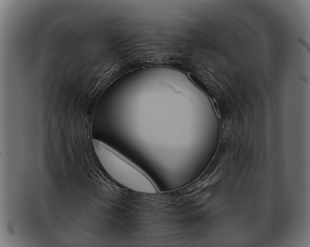X0000093591202200710151010