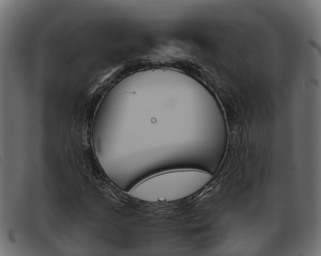 X0000093591205200710151010