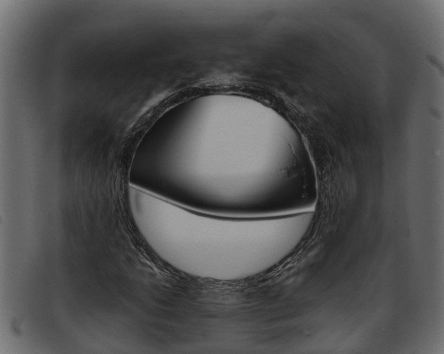 X0000093591206200710151010