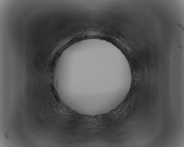X0000093591207200710151010