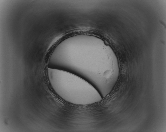X0000093591208200710151010
