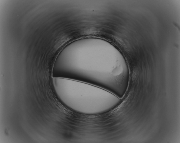 X0000093591209200710151010