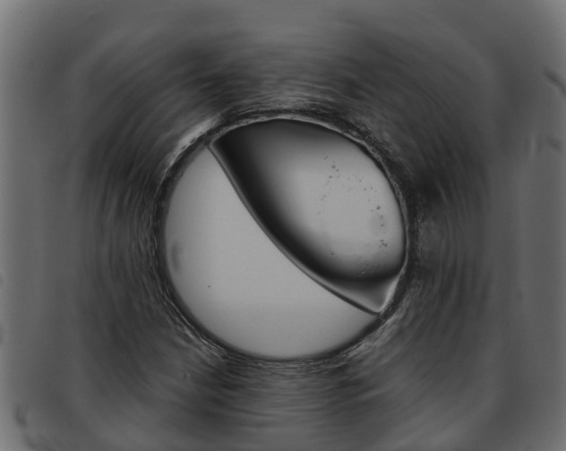 X0000093591210200710151010