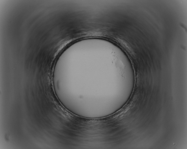 X0000093591212200710151010