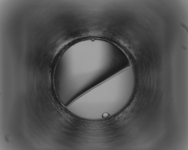 X0000093591214200710151010