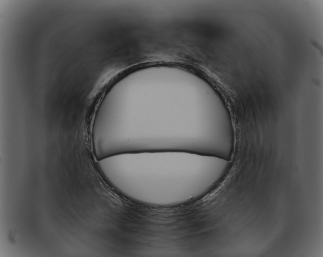 X0000093591215200710151010