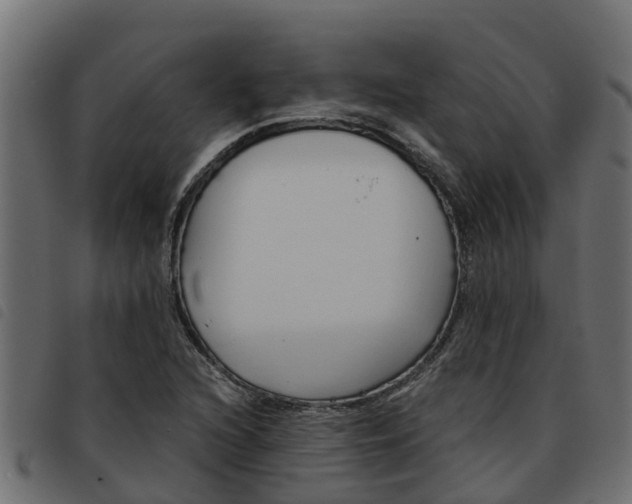X0000093591216200710151011