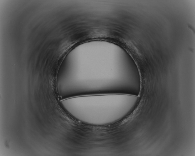 X0000093591217200710151011