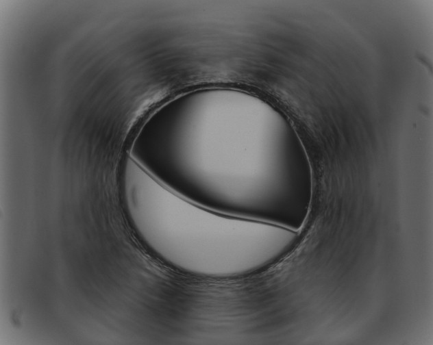 X0000093591218200710151011