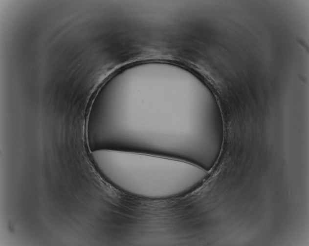 X0000093591220200710151011