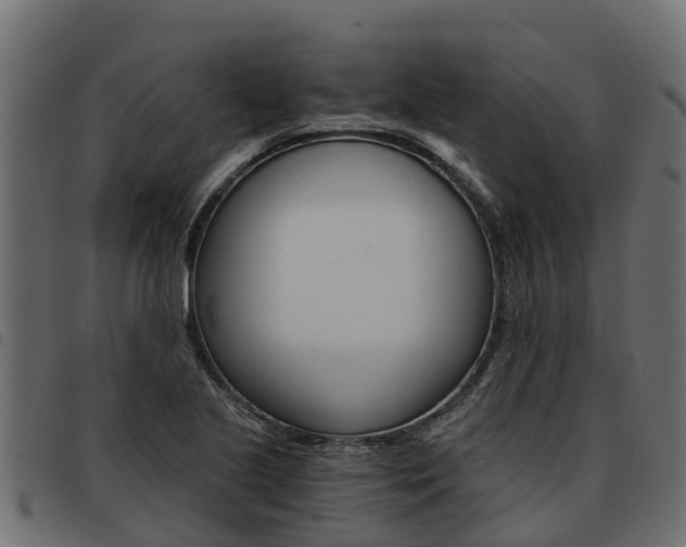 X0000093591221200710151011