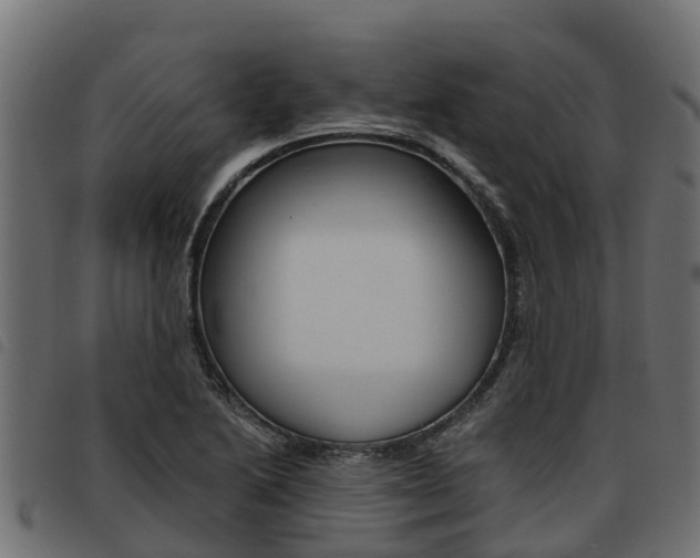 X0000093591222200710151011