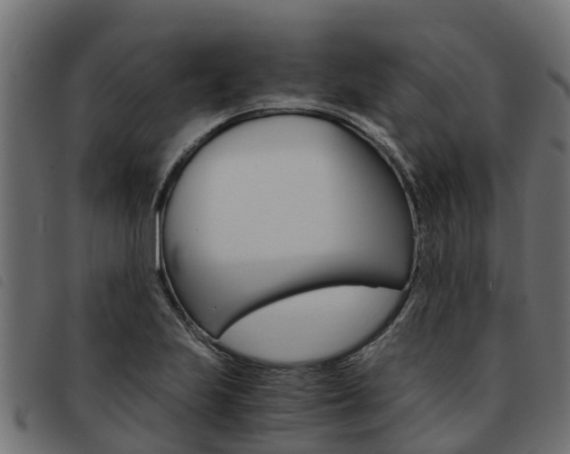 X0000093591223200710151011