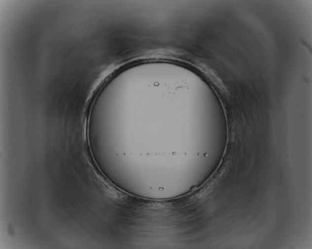X0000093591224200710151011