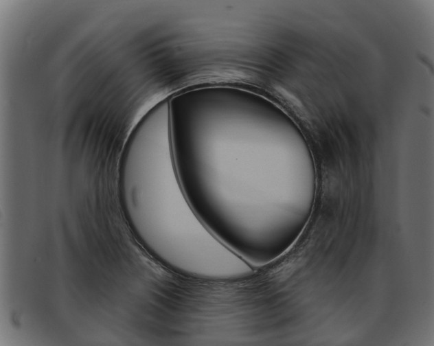 X0000093591226200710151011