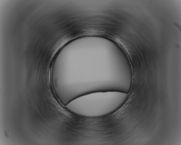 X0000093591227200710151011