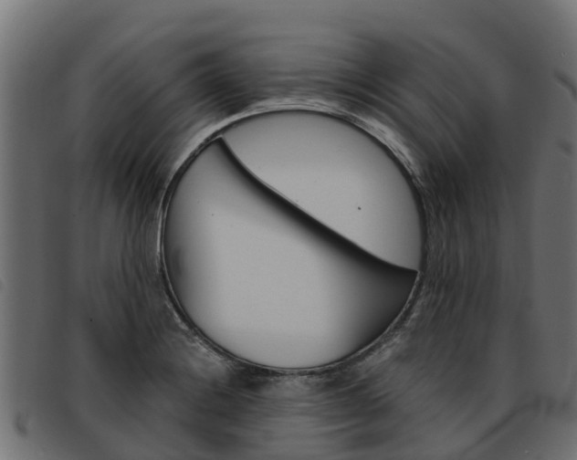 X0000093591228200710151011