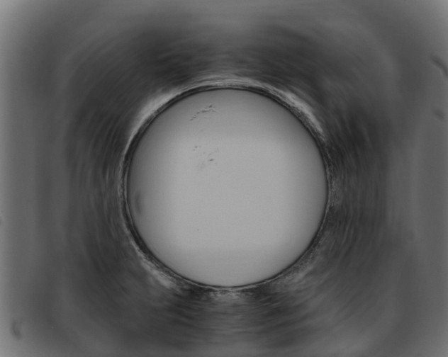 X0000093591231200710151011