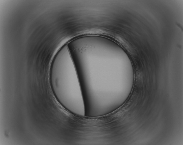 X0000093591232200710151011
