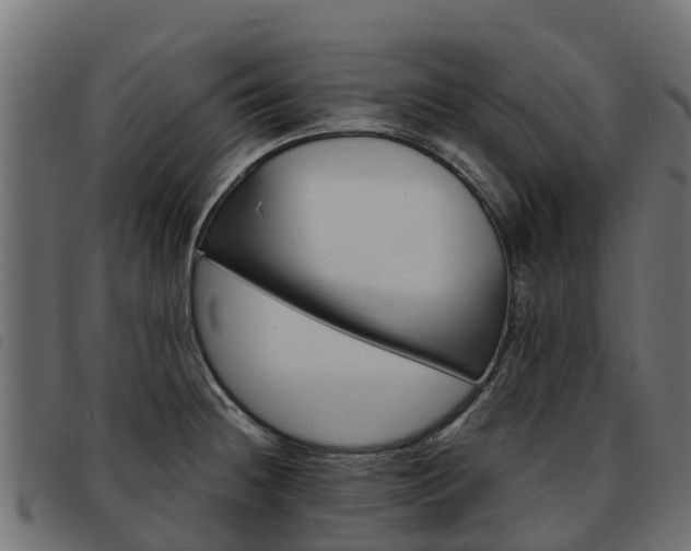 X0000093591236200710151011
