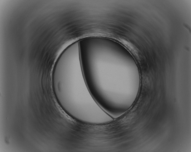 X0000093591238200710151011