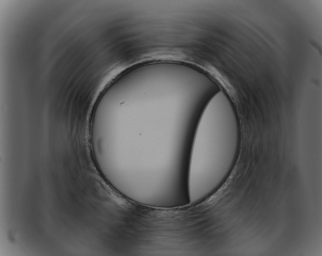 X0000093591240200710151011