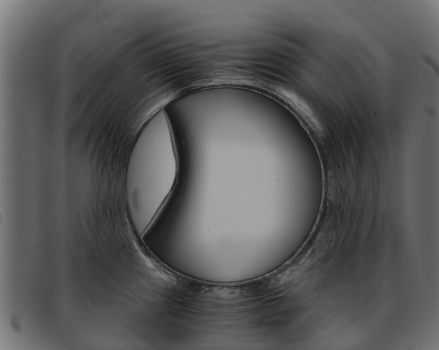 X0000093591241200710151011