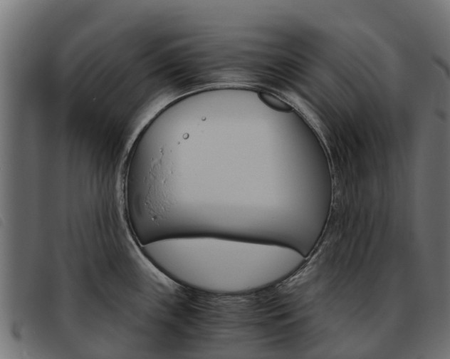 X0000093591243200710151011