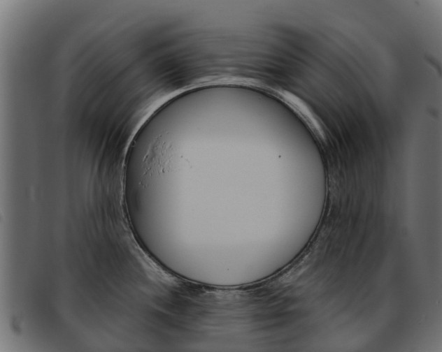 X0000093591244200710151011