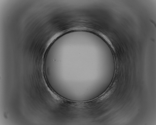 X0000093591245200710151011