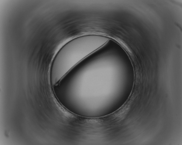 X0000093591246200710151011