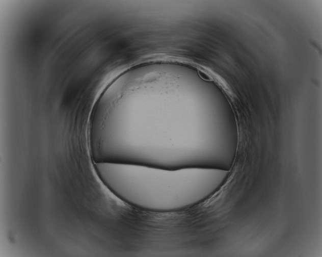 X0000093591247200710151011