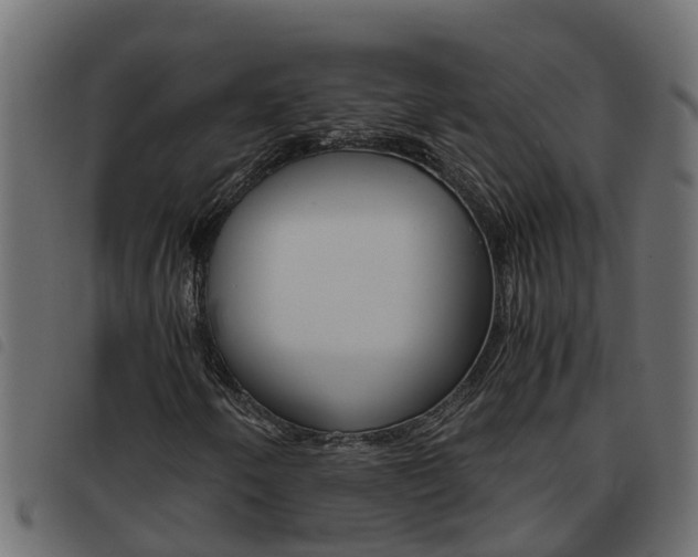 X0000093591250200710151010