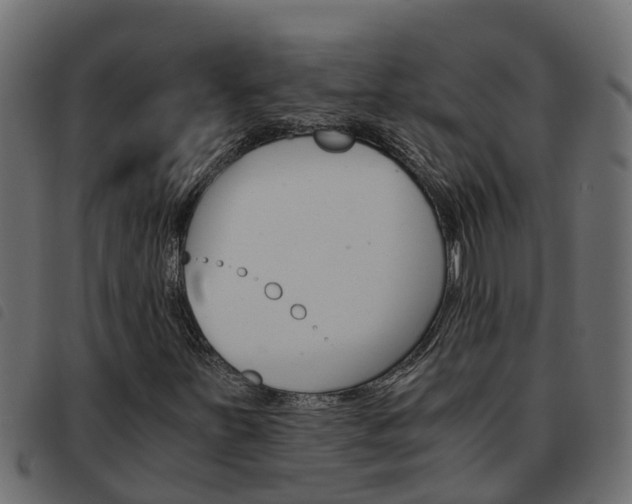 X0000093591251200710151010