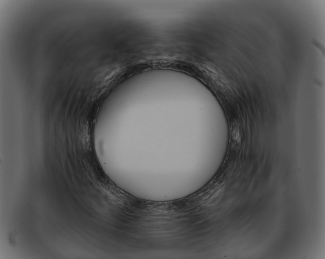 X0000093591252200710151010