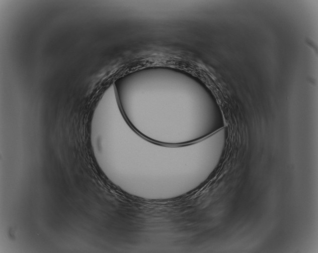 X0000093591253200710151010