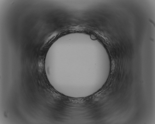 X0000093591254200710151010