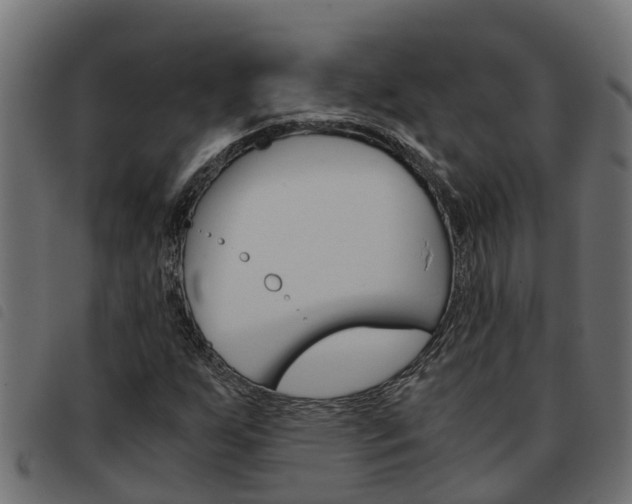 X0000093591255200710151010