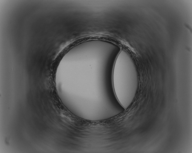 X0000093591256200710151010