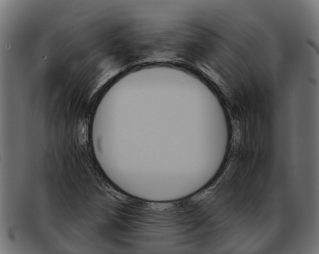 X0000093591258200710151010