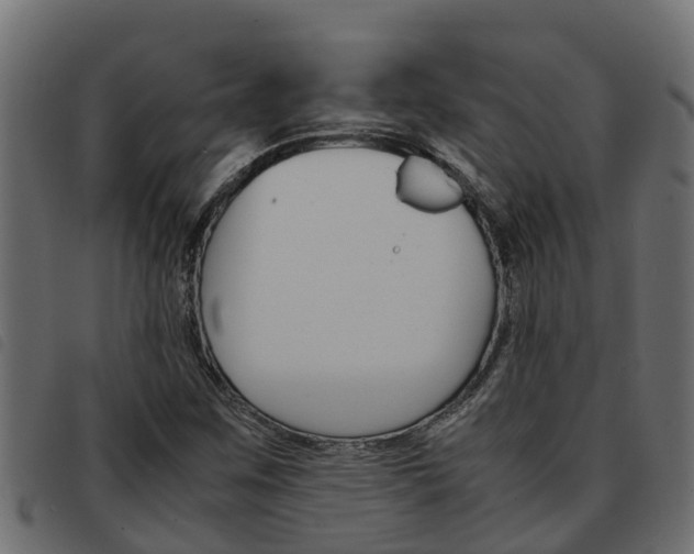 X0000093591259200710151010