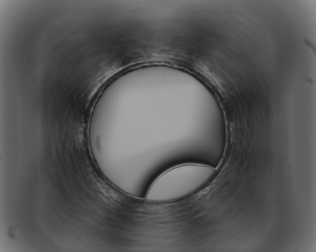 X0000093591260200710151010
