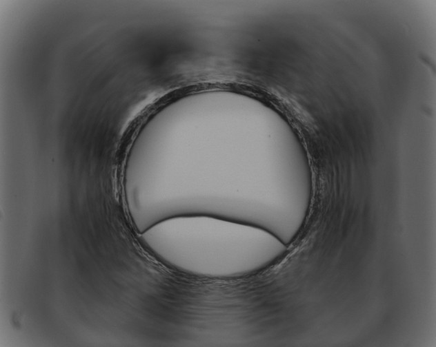 X0000093591262200710151010
