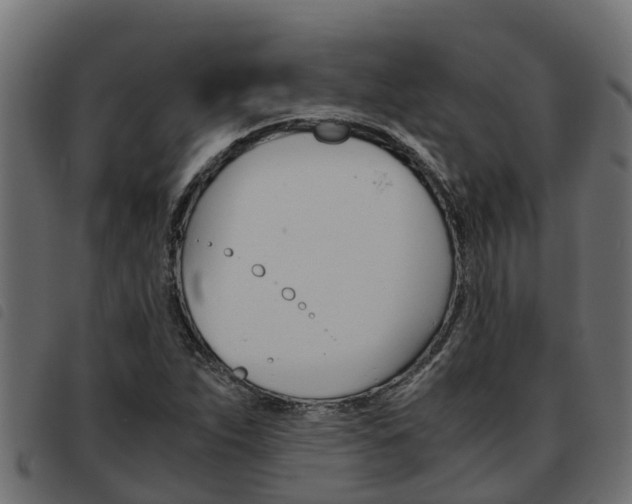 X0000093591263200710151010