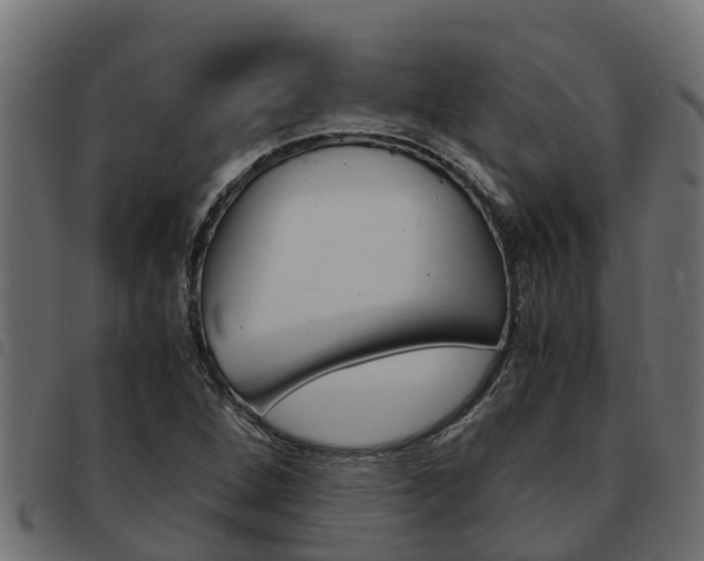 X0000093591264200710151010