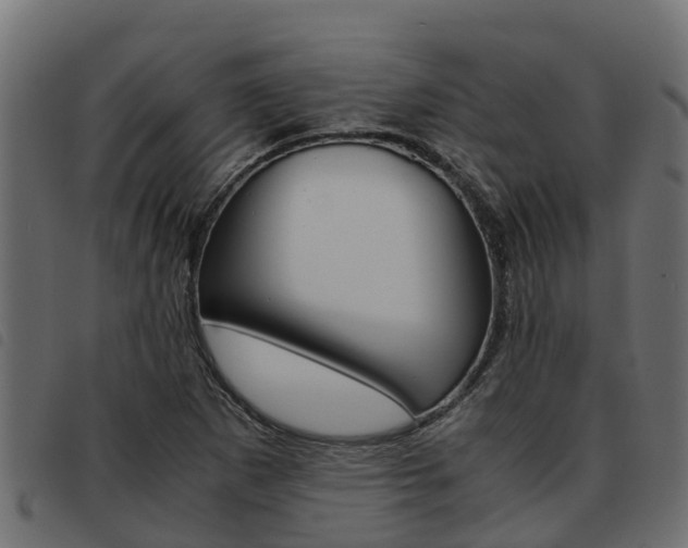 X0000093591265200710151010
