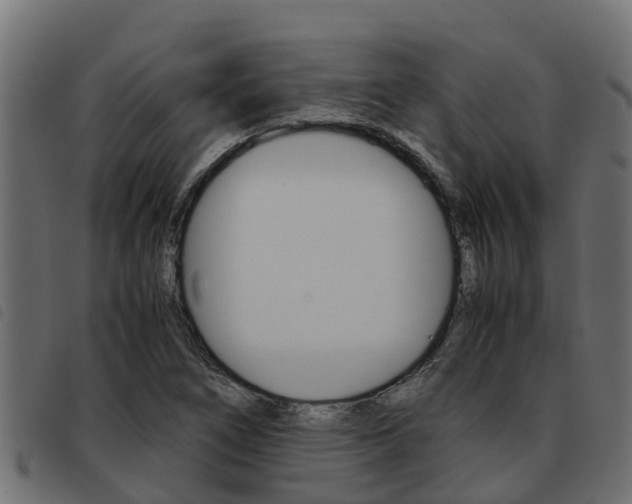 X0000093591266200710151010