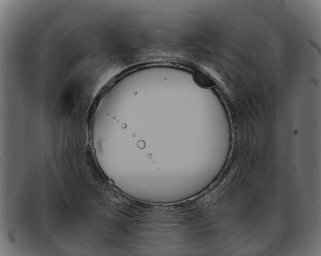 X0000093591267200710151010