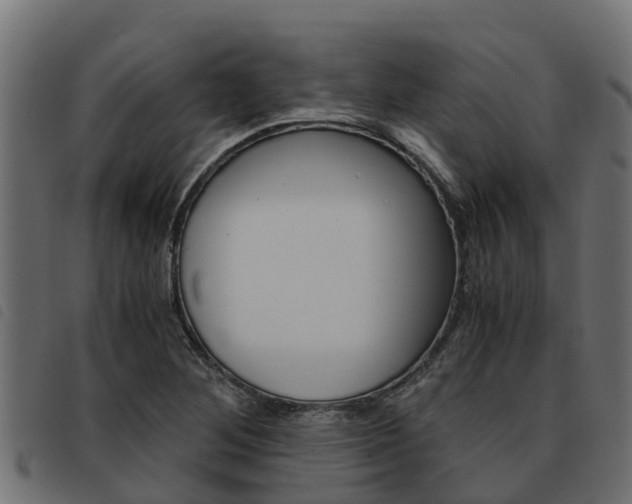 X0000093591268200710151010